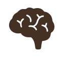 Fonction cognitive
